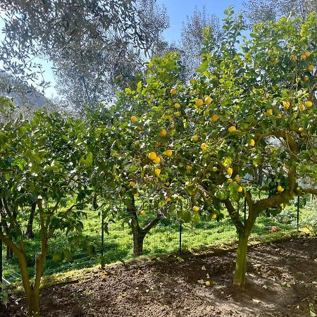 Sorrento Realty Holidays - The Smile Of The Sun Buitenkant foto